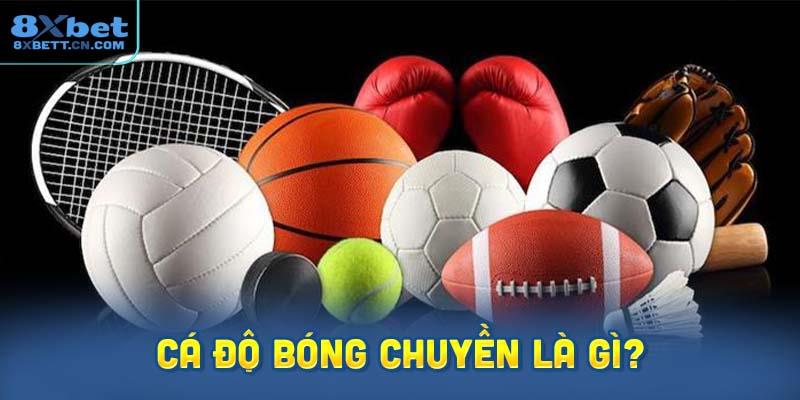 Cá độ bóng chuyền là gì?
