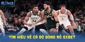 Tìm hiểu về cá độ bóng rổ 8XBet 