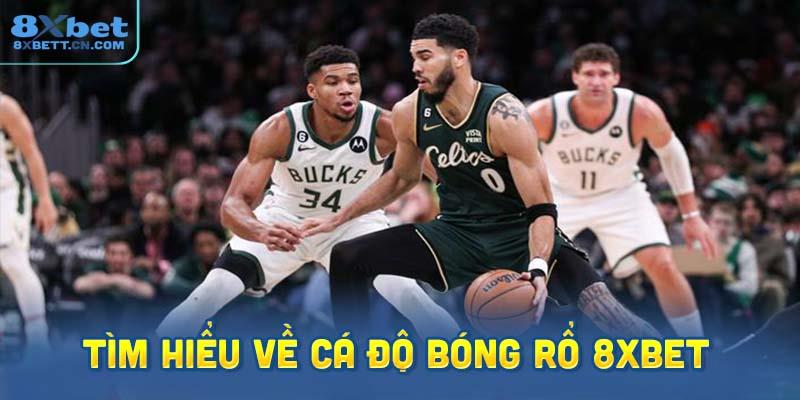 Cá Độ Bóng Rổ Và Cách Tính Kèo Bóng Rổ chi tiết cho người mới