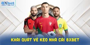 Khái quát về kèo nhà cái 8XBet phổ biến hiện nay