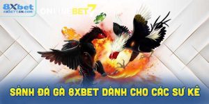 Thông tin chi tiết về sảnh đá gà 8XBet