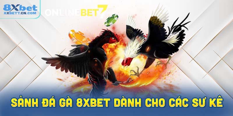 Thông tin chi tiết về sảnh đá gà 8XBet
