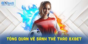 Tổng quan về sảnh thể thao 8XBet